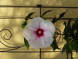 Appartamento Bad Pyrmont  34