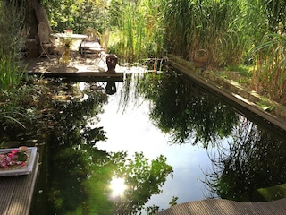 Apartment Bad Pyrmont Umgebung 31