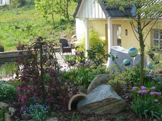 Apartment Bad Pyrmont Environment 29