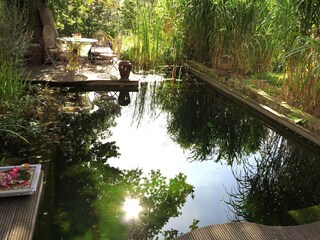 Apartment Bad Pyrmont Environment 30