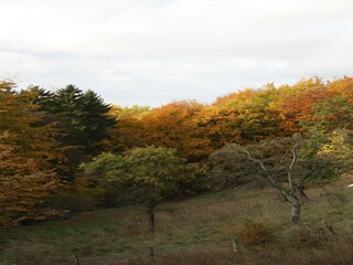 Ferienhaus Ottenstein Umgebung 21