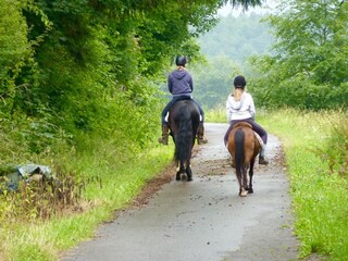 Casa per le vacanze Ottenstein Ambiente 21