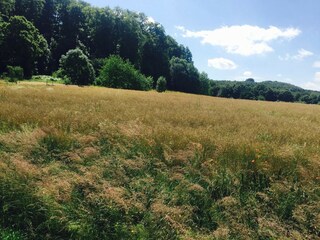 Holiday house Ottenstein Environment 27