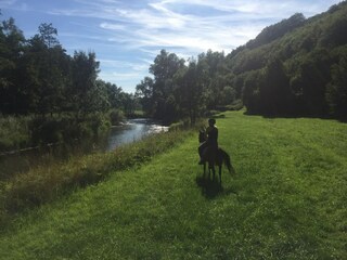 Casa per le vacanze Ottenstein Ambiente 30
