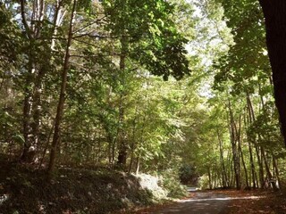 Casa per le vacanze Ottenstein Ambiente 32