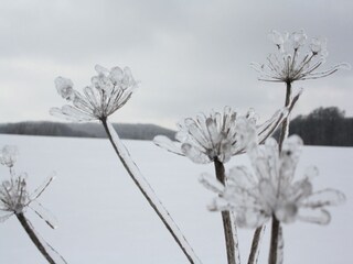 Ferienhaus Ottenstein Umgebung 22