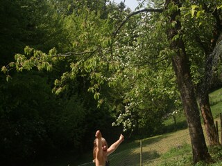 Casa per le vacanze Ottenstein Registrazione all'aperto 4