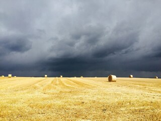 Vakantiehuis Ottenstein Omgeving 33