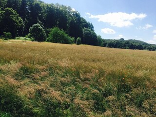 Ferienhaus Ottenstein Umgebung 34