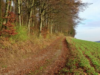 Appartamento Bad Pyrmont Ambiente 37