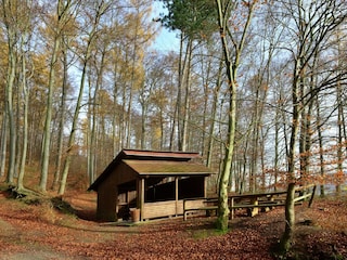 Apartment Bad Pyrmont Environment 39