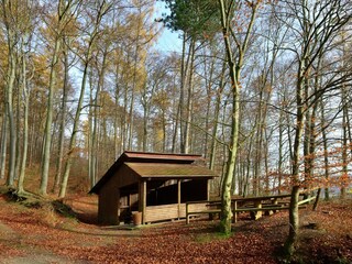 Appartement Bad Pyrmont Environnement 39