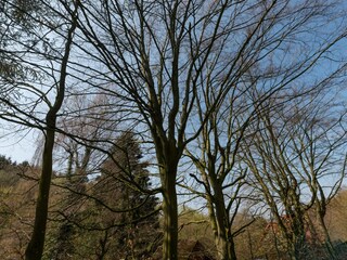 Vakantiehuis Ottenstein Omgeving 35