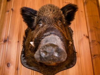 Ferienhaus Ottenstein  38