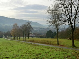 Apartamento Bad Pyrmont Entorno 35