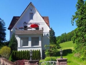 Apartment Traumhafte Wohnung in Bad Pyrmont mit Terrasse - Bad Pyrmont - image1