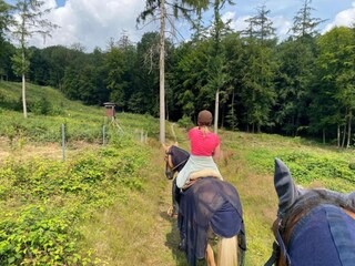 Apartamento Schieder-Schwalenberg Entorno 17