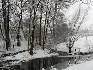 Apartment Schieder-Schwalenberg Umgebung 33