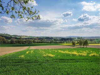 Appartamento Schieder-Schwalenberg Ambiente 26