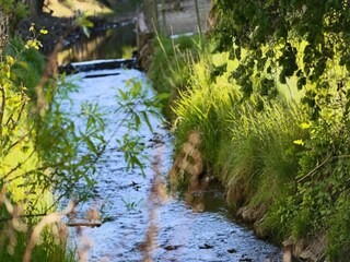 Appartement Schieder-Schwalenberg Environnement 19