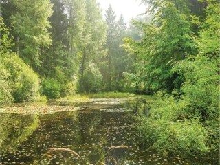 Appartamento Schieder-Schwalenberg Ambiente 33