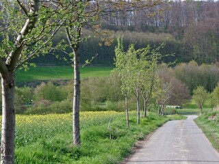Ferienhaus Bad Wünnenberg Umgebung 31