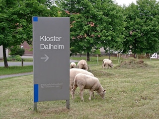 Maison de vacances Bad Wünnenberg Environnement 13