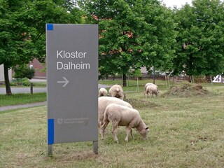 Vakantiehuis Bad Wünnenberg Omgeving 13