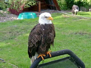Casa per le vacanze Bad Wünnenberg Ambiente 17