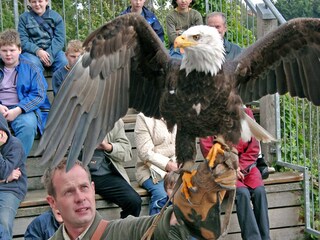 Ferienhaus Bad Wünnenberg Umgebung 17