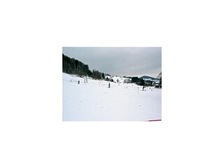 Ferienhaus Bad Wünnenberg Umgebung 35