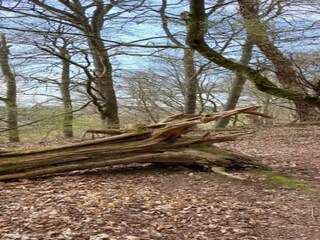 Appartamento Trendelburg Ambiente 19