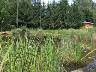 Appartamento Trendelburg Ambiente 13