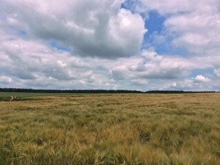 Apartamento Trendelburg Entorno 30