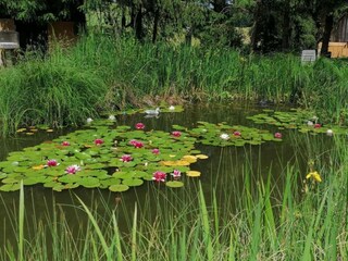 Apartment Trendelburg Umgebung 12