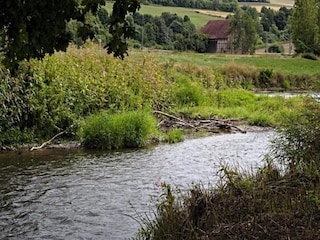 Apartment Trendelburg Environment 30