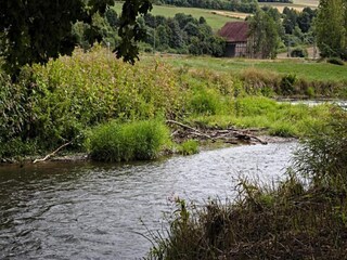 Appartement Trendelburg Environnement 35