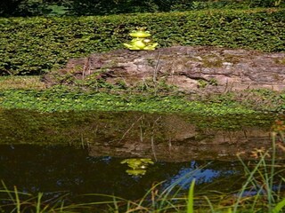 Appartamento Trendelburg Ambiente 34