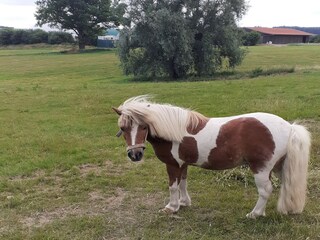 Apartment Trendelburg Environment 13