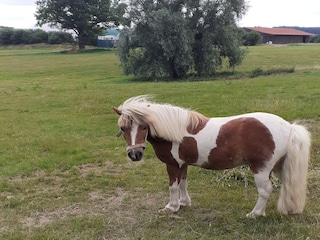 Apartment Trendelburg Umgebung 13