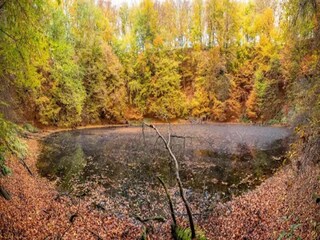 Appartamento Trendelburg Ambiente 21