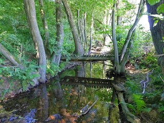 Appartement Trendelburg Omgeving 28