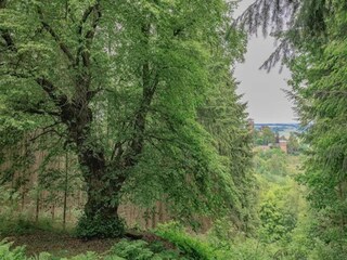 Appartamento Trendelburg Ambiente 17