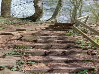 Apartment Trendelburg Environment 25