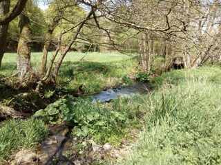 Apartment Trendelburg Environment 27
