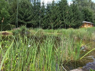 Appartamento Trendelburg Ambiente 22