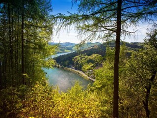 Appartement Diemelsee Environnement 17