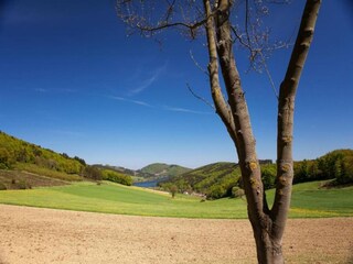 Appartement Diemelsee Environnement 19