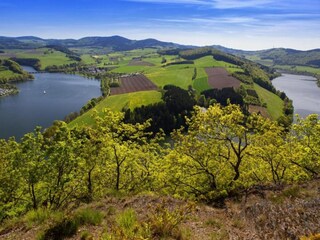 Apartment Diemelsee Environment 27