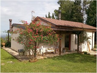 Holiday house Cartoceto Outdoor Recording 2